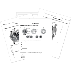 Ninth Grade Grade 9 Biology Questions For Tests And Worksheets