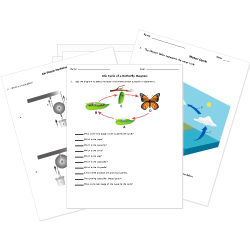 free elementary science worksheets and printables