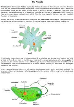 middle school astronomy worksheets