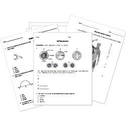 printable Worksheets